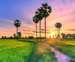 The 5th international festival of Vietnamese traditional martial arts – Binh Dinh 2014 to take place in August